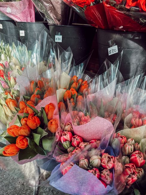 A display of fresh tulip bouquets arranged in clear plastic wrapping, featuring vibrant orange, pink, and red flowers with green stems and leaves. The bouquets are placed in black buckets with visible