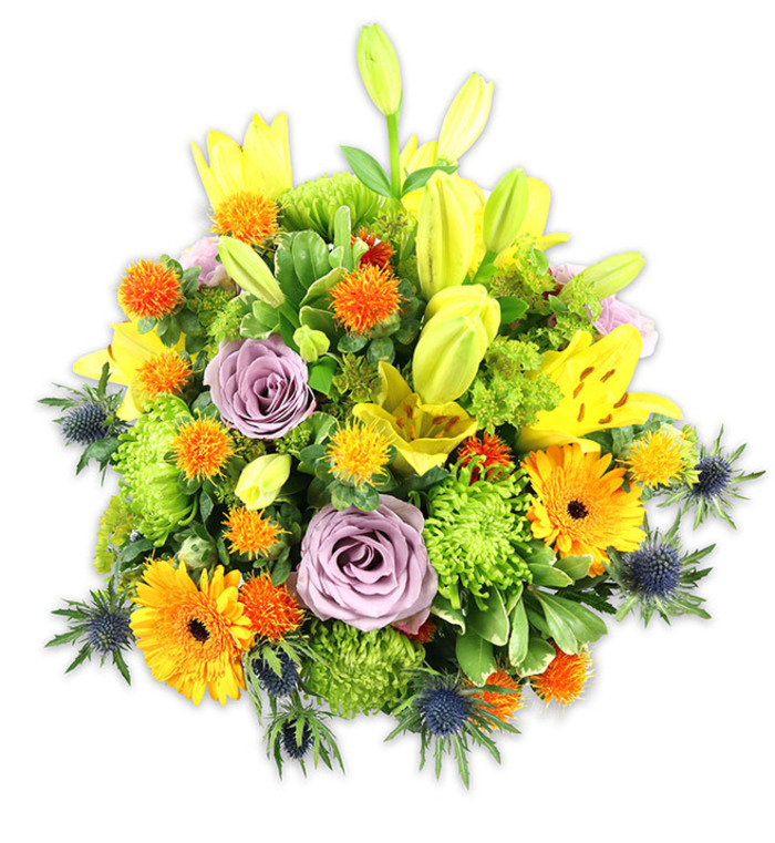 A densely composed, vibrant bouquet set against pristine white, this arrangement reads like a well-told floral story of warmth and contrast. Prominent yellow Asiatic lilies punctuate the mound-some petals fully unfurled and speckled at the throat, others still as tapered buds giving upward momentum and a sense of unfolding. Nestled amid that energy are soft lavender roses, their pastel spirals offering an elegant focal calm that tempers the brighter notes. Cheerful orange Gerbera daisies, with their broad, flat rays circling darker centres, create joyful focal points, while clusters of small spherical orange and golden blooms introduce a playful, almost confetti-like texture. Generous quantities of lime-green button or cushion chrysanthemums form a plush, verdant base, their tight florets producing almost mossy depth and volume. Blue-grey sea thistles (Eryngium) appear along lower margins and sides, their star-like bracts and spiky silhouettes providing a cool, architectural contrast that draws the eye outward. A variety of green foliage-glossy and matte leaves, narrow lily blades and softer filler-wraps the blooms, enhancing colour transitions and reinforcing the bouquet's rounded silhouette. The soft studio lighting accentuates petal translucence and the subtle interplay of warm and cool tones, making the yellows and oranges glow while the blues recede with elegant restraint. This composition feels celebratory yet composed, appropriate for birthdays, thank-you gestures, or as a lively sympathy tribute. Crafted with considered balance and texture, it embodies contemporary floral artistry suited to homes throughout Bromley Common, Sundridge Park, and nearby corners of the borough.